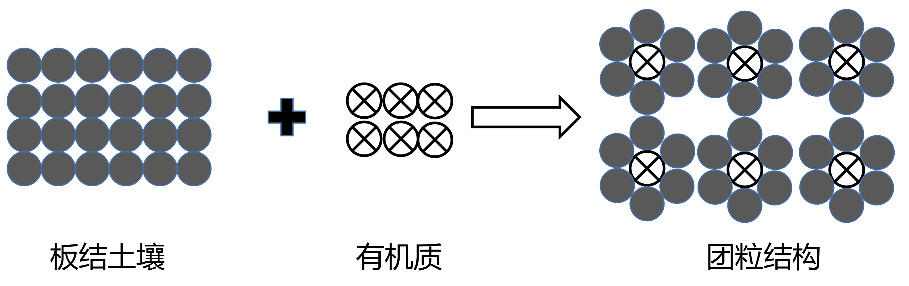 阳光玫瑰底肥施用萌帮普利系列肥料方案2.png