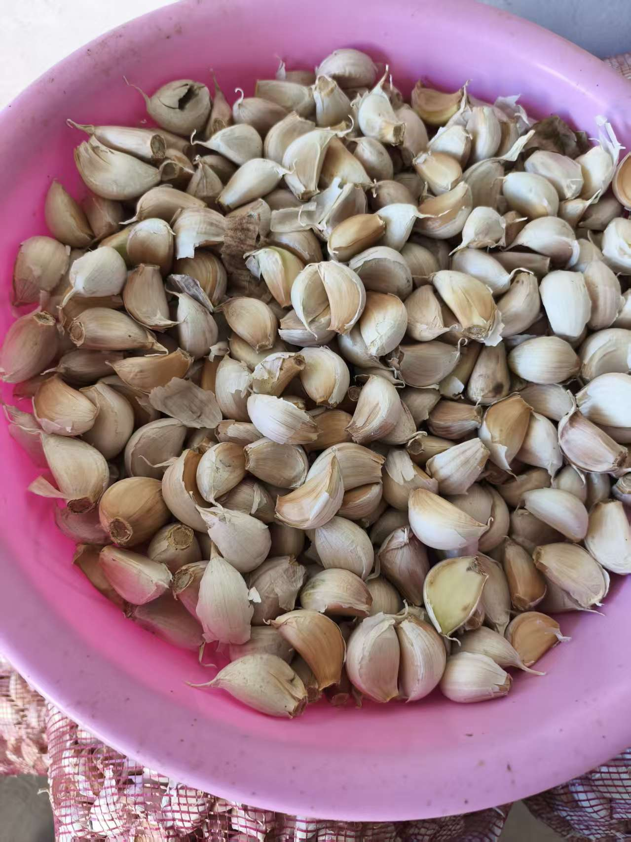 大蒜种植管理萌帮水溶肥方案.png 大蒜种植管理萌帮水溶肥方案.png