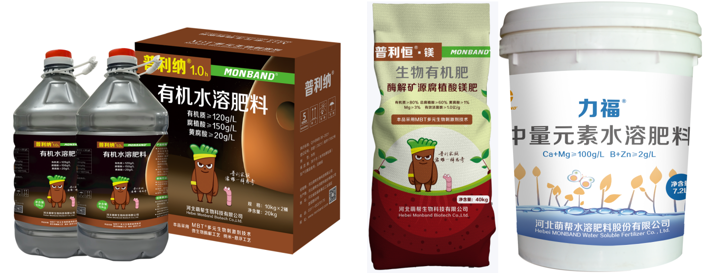 大蒜种植管理萌帮水溶肥方案2.png 大蒜种植管理萌帮水溶肥方案2.png